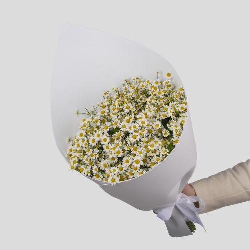 Монобукет из матрикарии