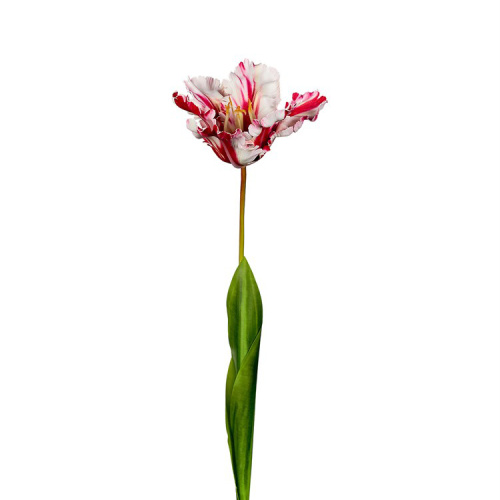 Искусственный цветок тюльпан бело-красн (710-112)