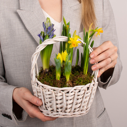 Композиция из растений 04