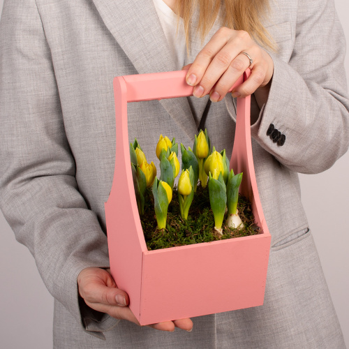 Композиция из растений 15