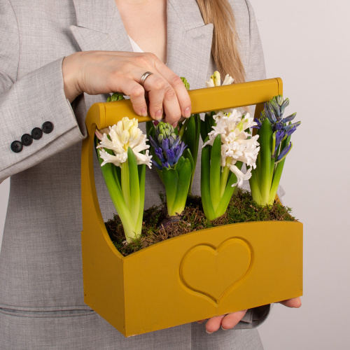 Композиция из растений 07