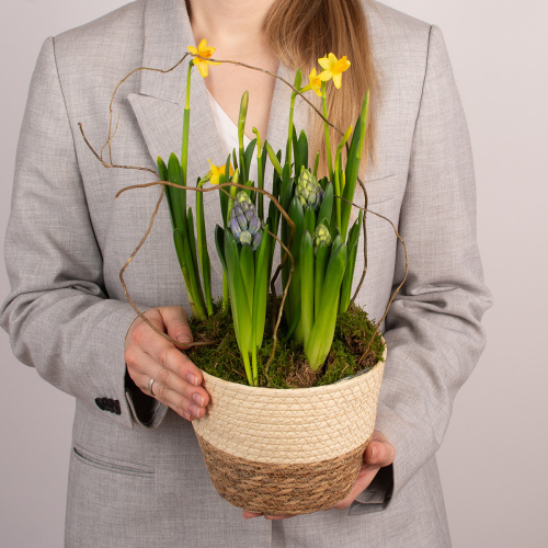 Композиция из растений 05