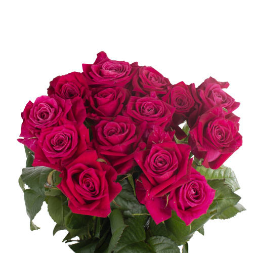 Шангри ла (15 шт) рм