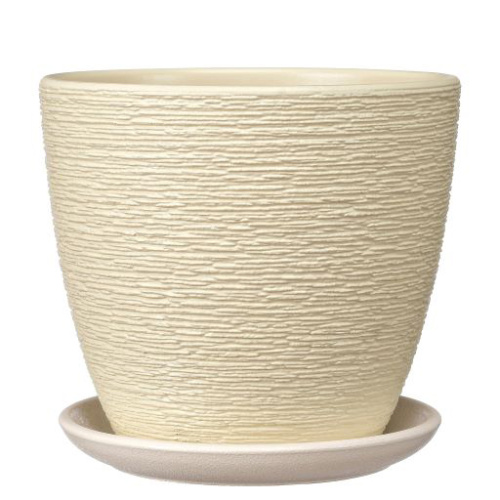 Горшок композит Гнездо шампань крокус №3