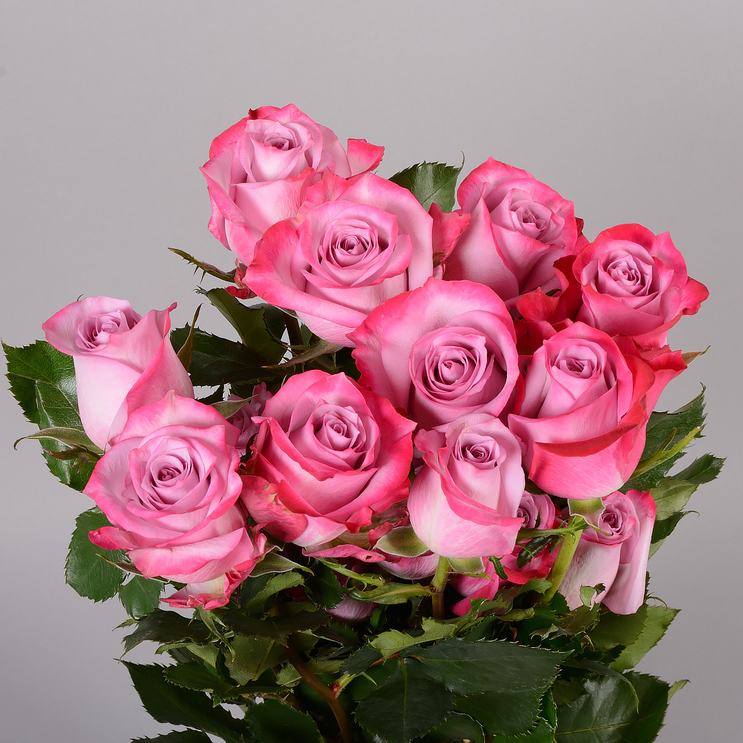 15 шт в упаковке