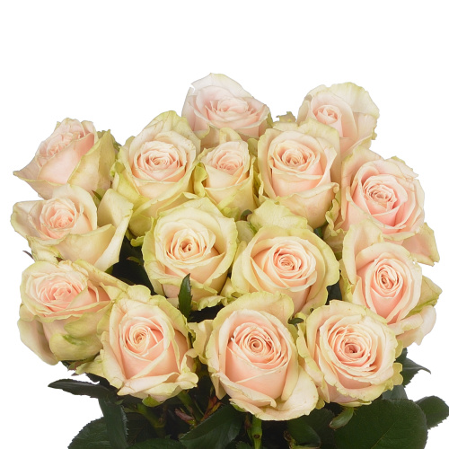 Свит авеланче (15 шт) рм