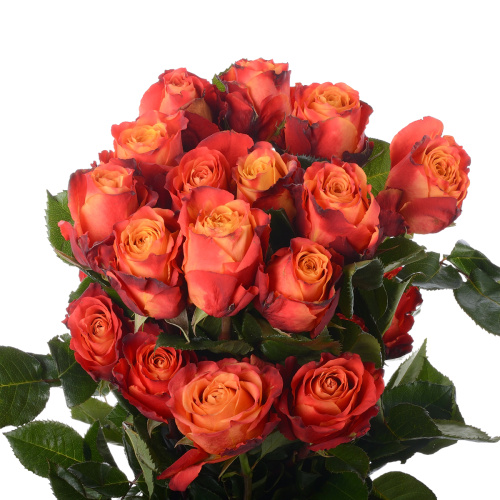 Атомик (25 шт)