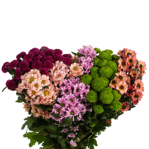 Сантини хэппи микс (25 шт)