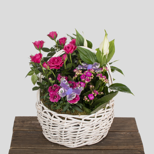 Композиция из растений 02