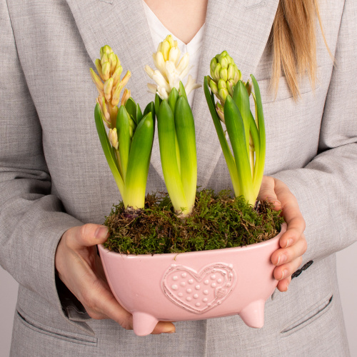 Композиция из растений 02