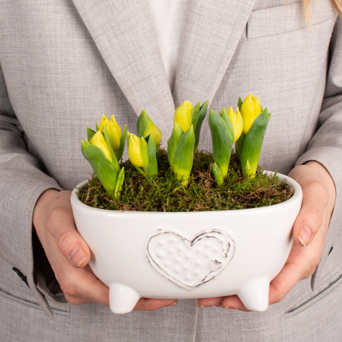 Композиция из растений 11