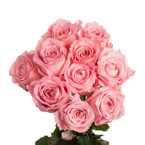 Свит фо лав (10 шт) рм