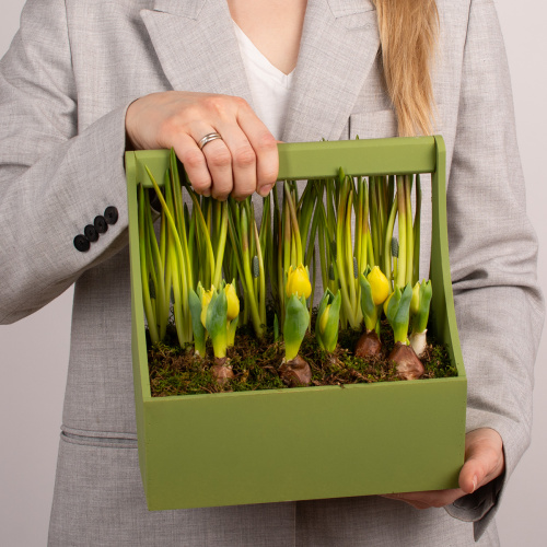 Композиция из растений 16