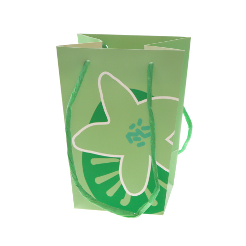 Сумка картон 20х15х11 зелен Boom Bloom
