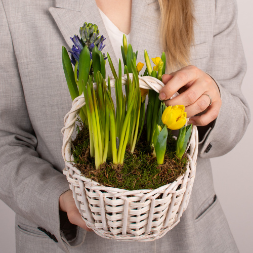 Композиция из растений 06