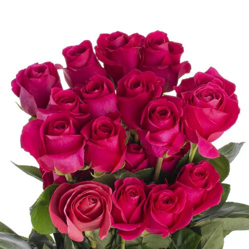 Пинк флоид 80 см (25 шт)