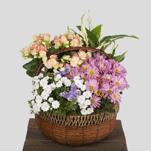 Композиция из растений 08