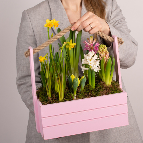 композиция из растений 17