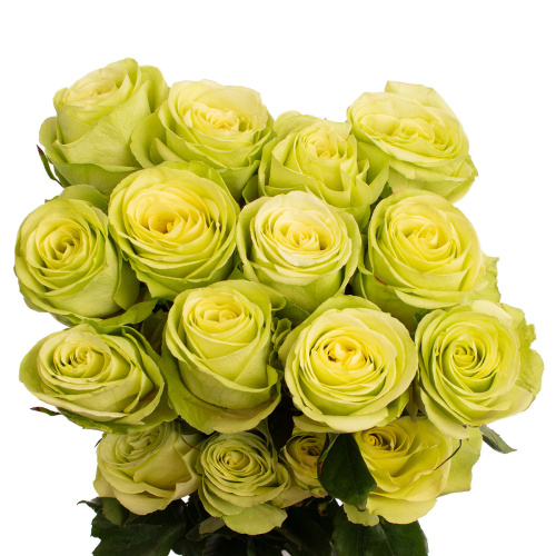 Грин романс (25 шт)