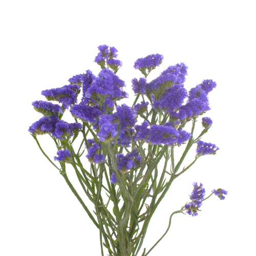 Статица Кристал Дарк Блю (5 шт)