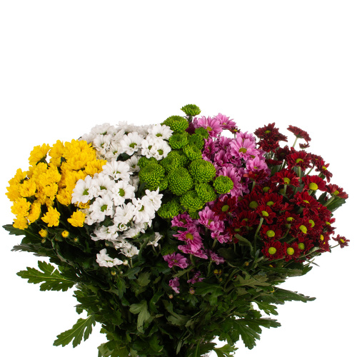 Сантини уайлд микс (25 шт)