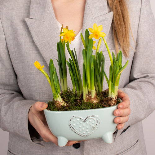 Композиция из растений 01