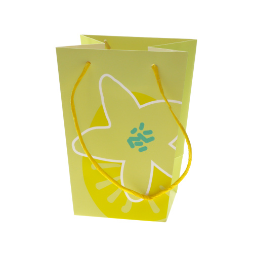 Сумка картон 20х15х11 желт Boom Bloom