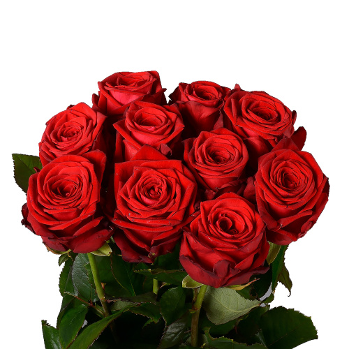 Ред наоми (10 шт) пс