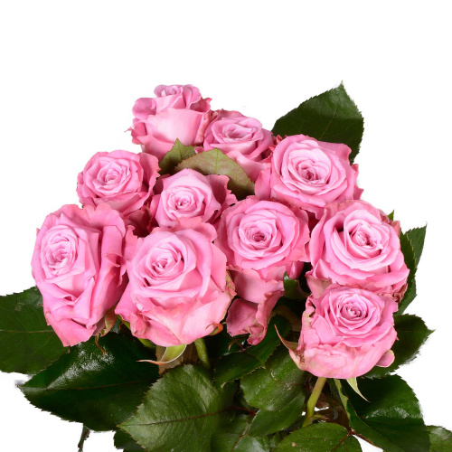 Маритим (10 шт) пс